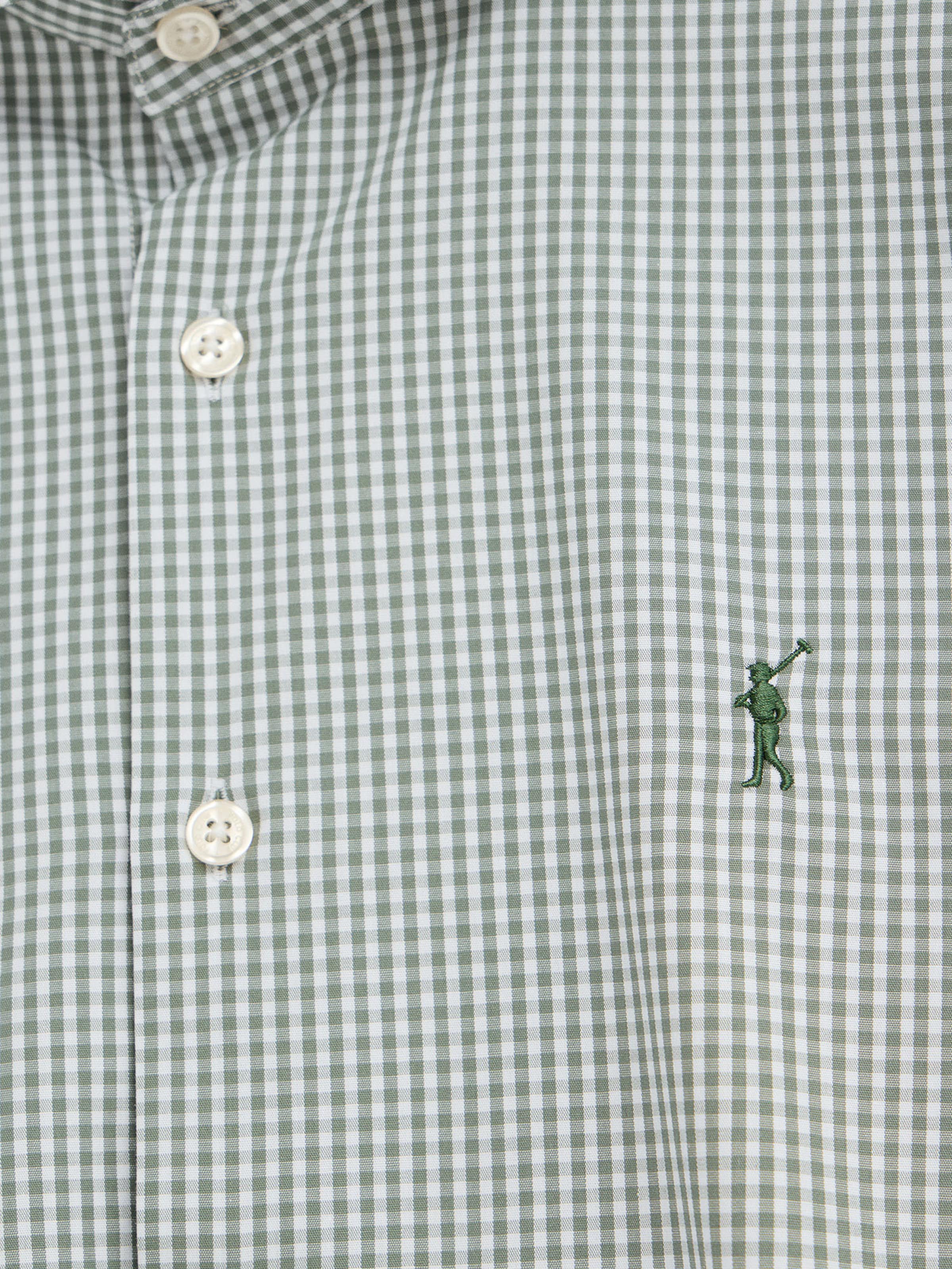 Polo Club Regular fit Button Up Shirt in Green