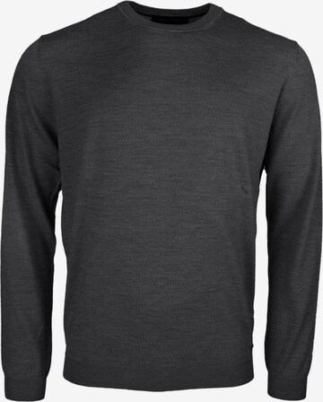 ROY ROBSON Sweater in Grey: front