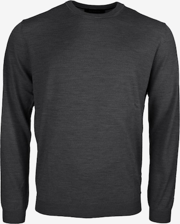 ROY ROBSON Sweater in Grey: front