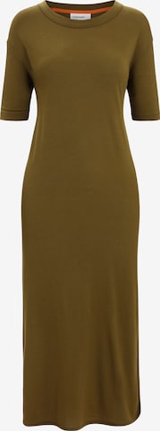 ICEBREAKER Sports Dress 'Granary' in Green: front