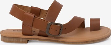 Pisamonas Sandale in Braun: Vorderseite