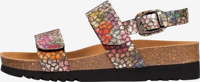 SCHOLL Sandalen Greeny 'SANDAL 2.0' in mischfarben, Produktansicht