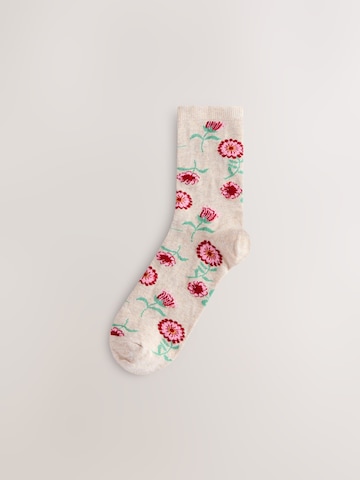 Next Socks in Mixed colours