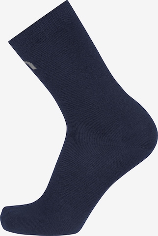 normani Knee High Socks in Blue