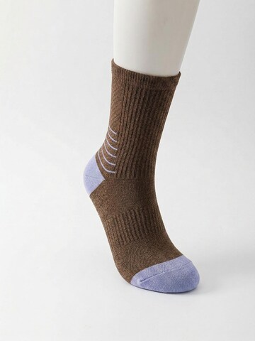 Millo Athletic Socks 'Sport Vibe' in Brown
