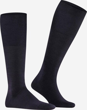 FALKE Knee High Socks in Blue