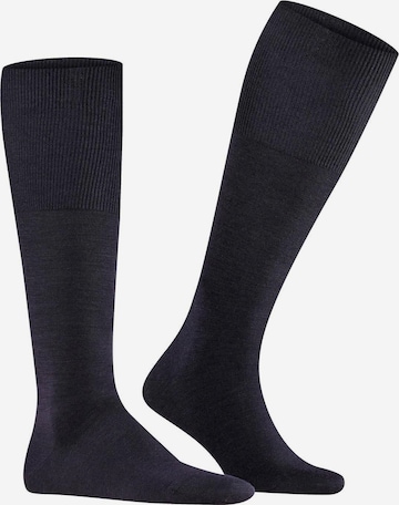 FALKE Socks in Blue