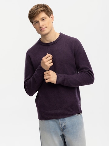 Antargo Sweater 'Bruno' in Purple