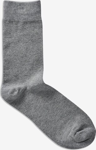 JACK & JONES Къси чорапи 'Jens' в сиво