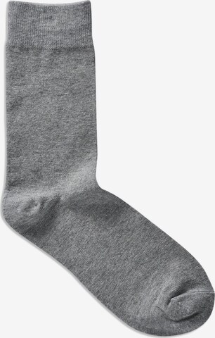 JACK & JONES Socken 'Jens' in Grau