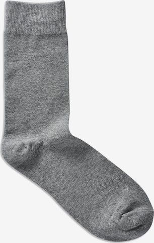 Chaussettes 'Jens' JACK & JONES en gris