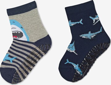 STERNTALER Socks 'Haie' in Blue: front