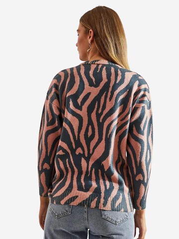 Bianco Lucci Pulover 'Pullover' | mešane barve barva