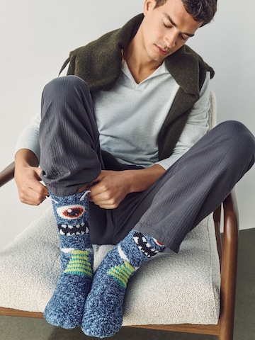 Next Socks in Blue