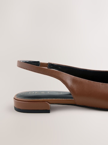 Ballerines à lanières 'Forever Comfort' Next en marron