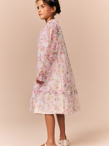 Next Dress in Pink