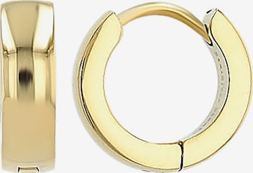 Akzent Earrings 'Chelsie, silberfarbig, langlebig' in Gold: front