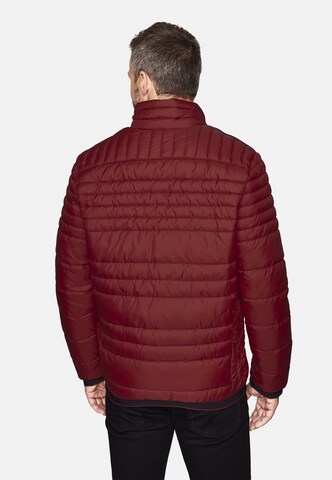 NEW CANADIAN Steppjacke in Rot