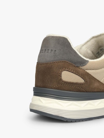 Baskets basses 'Harry Sneakers ' Scalpers en beige