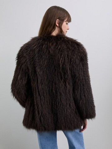 Scalpers Зимняя куртка в Коричневый