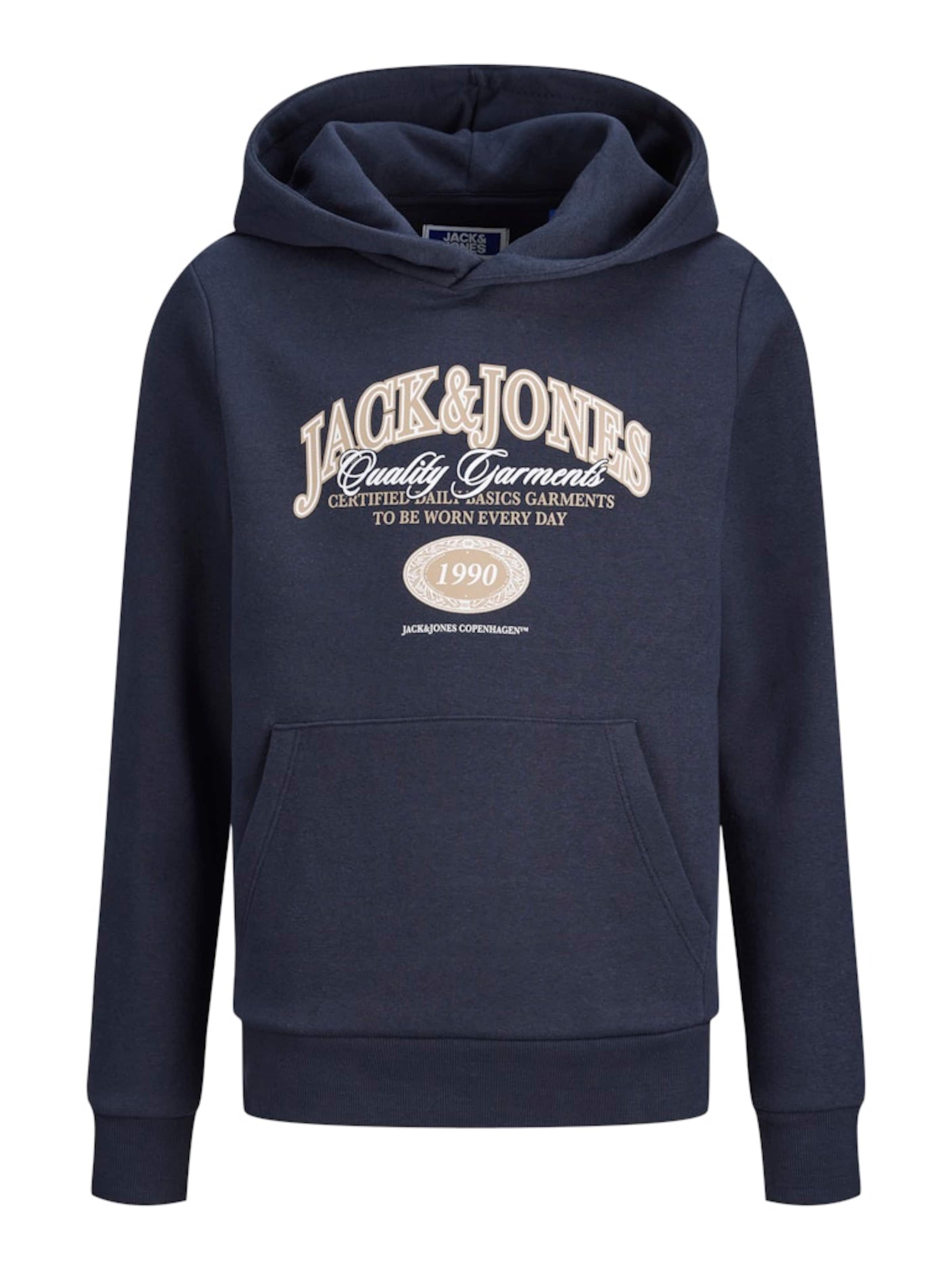 Jack & Jones Junior Sweatshirt 'JJARI' in Blue