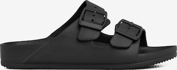 Polo Club Sandals in Black: front