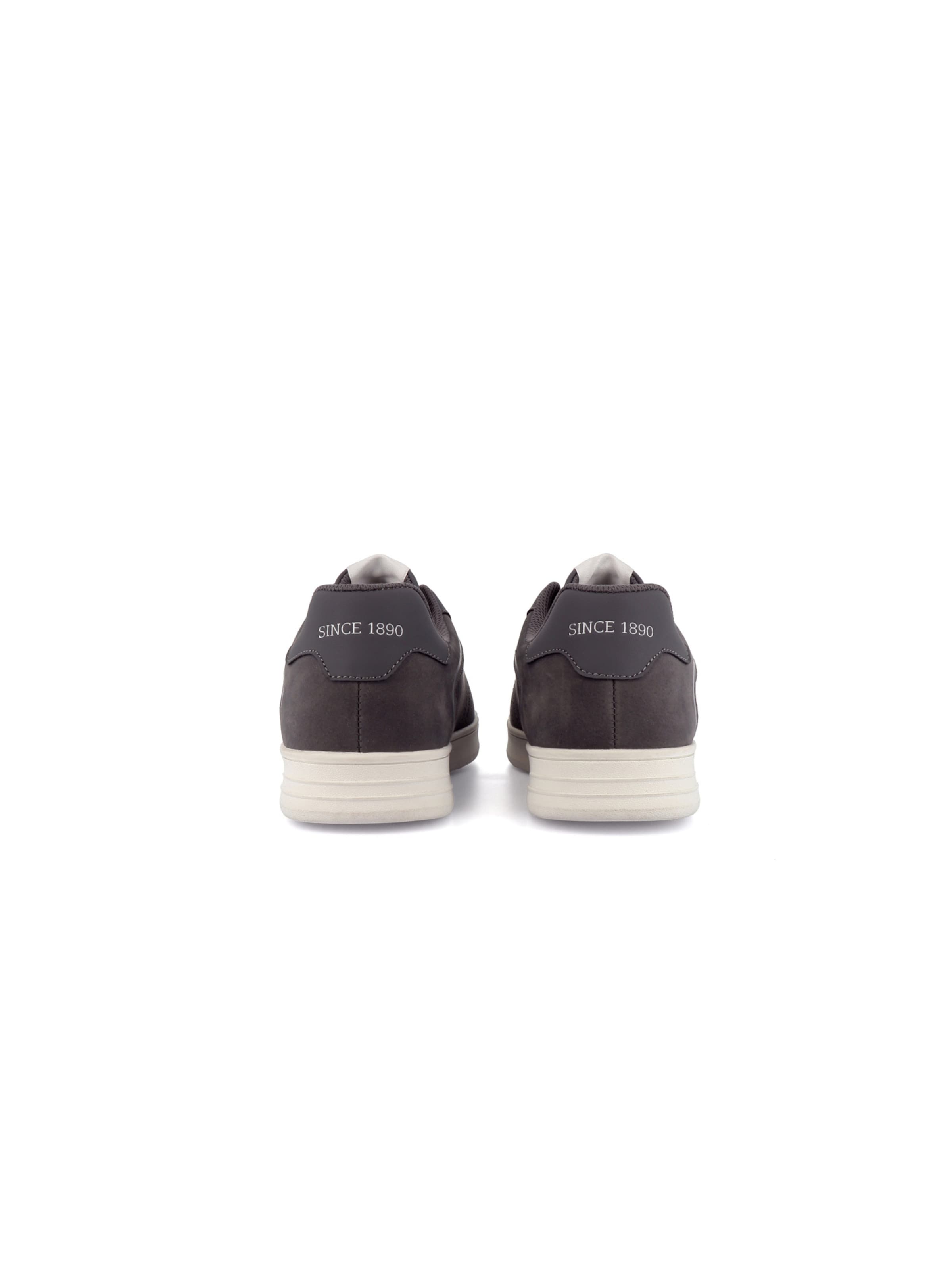 Baskets basses 'Alpha' US POLO ASSN. en gris