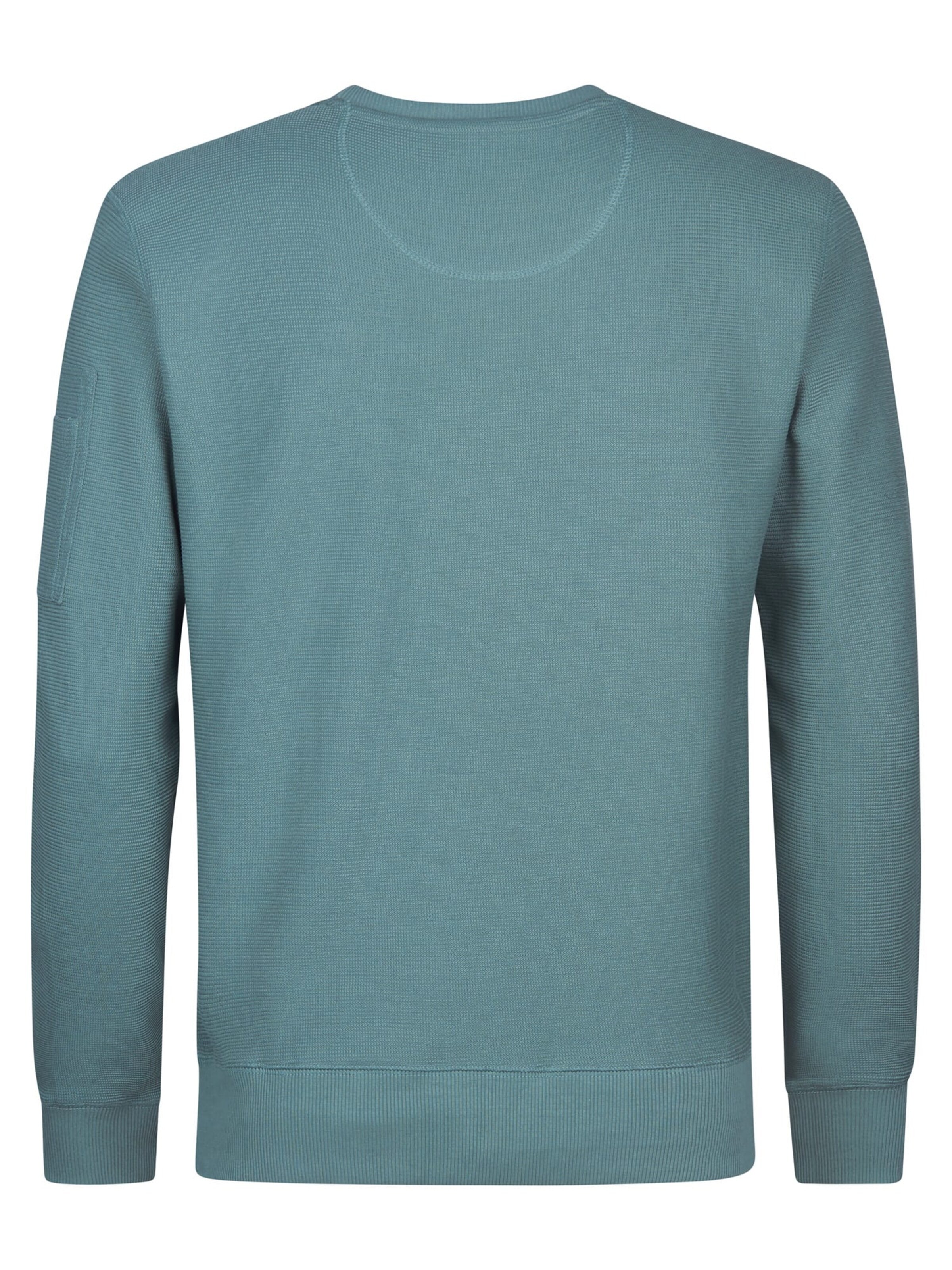 PETROL INDUSTRIES MEN Sweatshirt in Groen