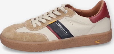 Sportbačiai be auliuko iš CAMEL ACTIVE, spalva – kremo / gelsvai pilka spalva / tamsiai mėlyna jūros spalva / granatų spalva, Prekių apžvalga