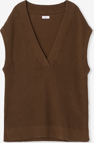 Envii Sweater 'Douglas' in Brown: front