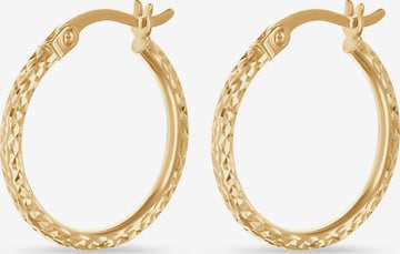 FAVS Ohrringe in Gold: Vorderseite