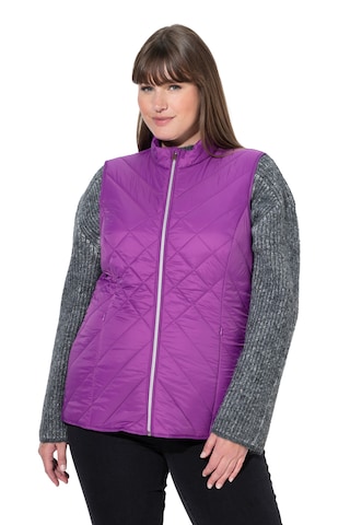 Ulla Popken Vest in Purple: front