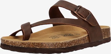 Cruz Zehentrenner 'HARDINBURG' in Braun: Vorderseite