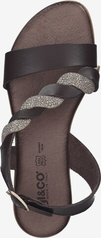 IGI&CO Strap Sandals in Brown