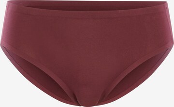 Royal Lounge Intimates Hipster 'Shorty Fit' in Rot: predná strana