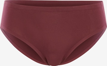 Royal Lounge Intimates Boyshorts 'Shorty Fit' in Red: front