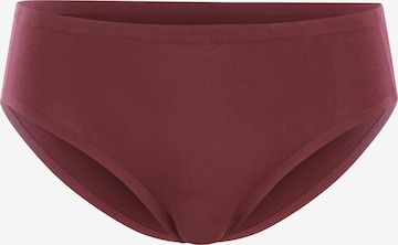 Royal Lounge Intimates Broekje 'Shorty Fit' in Rood: voorkant