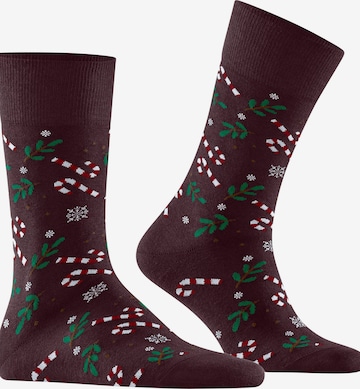 FALKE Socks 'Gift Blizzard' in Red: front