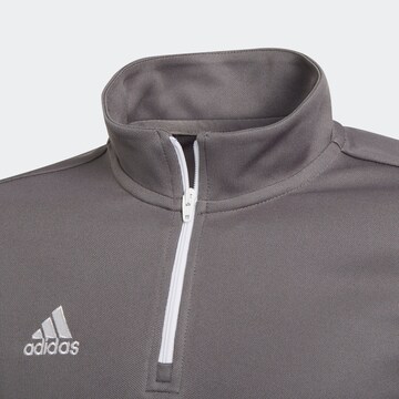 T-Shirt fonctionnel 'Entrada 22'' ADIDAS PERFORMANCE en gris