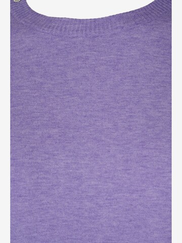 Pull-over Zizzi en violet