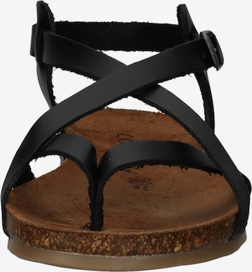 COSMOS COMFORT Strap Sandals in Black