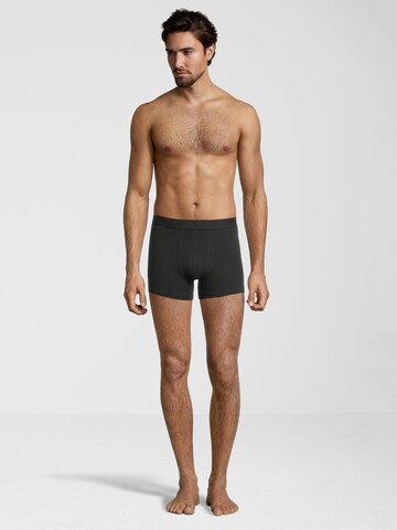 Albert Schäfer Boxershorts in Schwarz