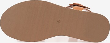 INUOVO Sandals in Brown