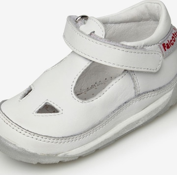 Falcotto Open shoes 'SAN DIEGO NEW' in White: front
