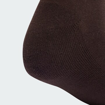 ADIDAS ORIGINALS Socks in Brown