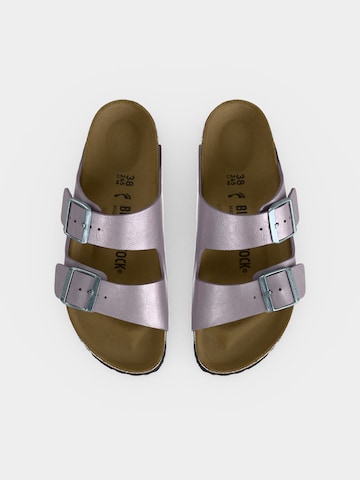 purpurinė BIRKENSTOCK Šlepetės 'Arizona'