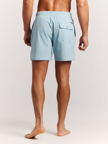 PROTEST Board Shorts 'PRTJayden' in Blue