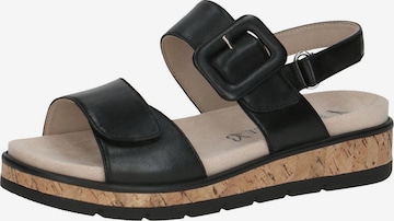 CAPRICE Sandals in Black: front
