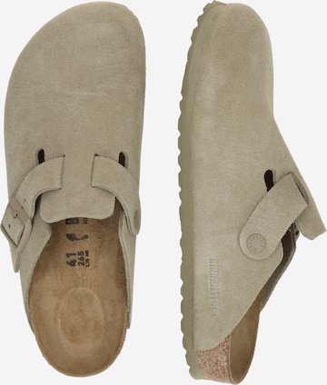 Socas 'Boston'