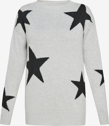 SANIKAPulover 'Fashion Look' - siva boja: prednji dio